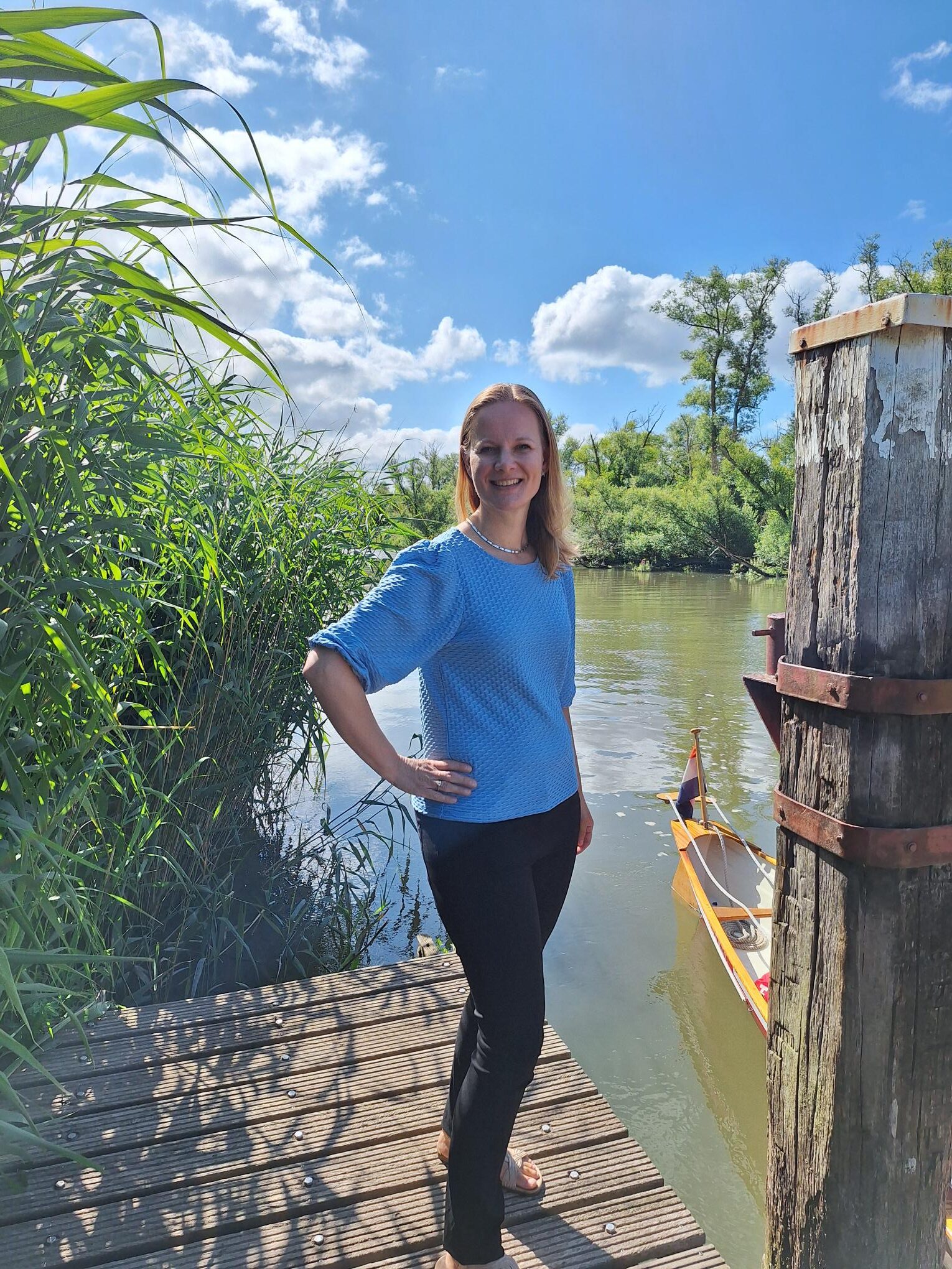 plannen en organiseren, mariska venhovens